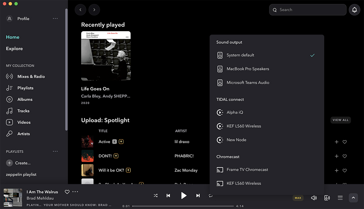 Tidal
